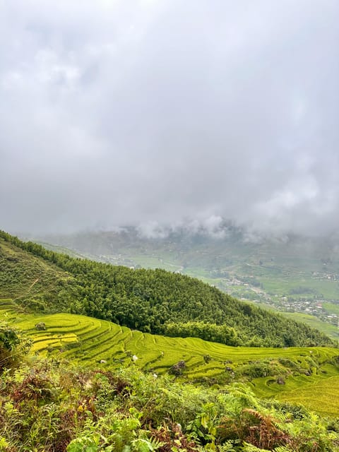 Authentic Experience,BambooForest,Waterfall ,LESS TOURIST - Cultural Insights