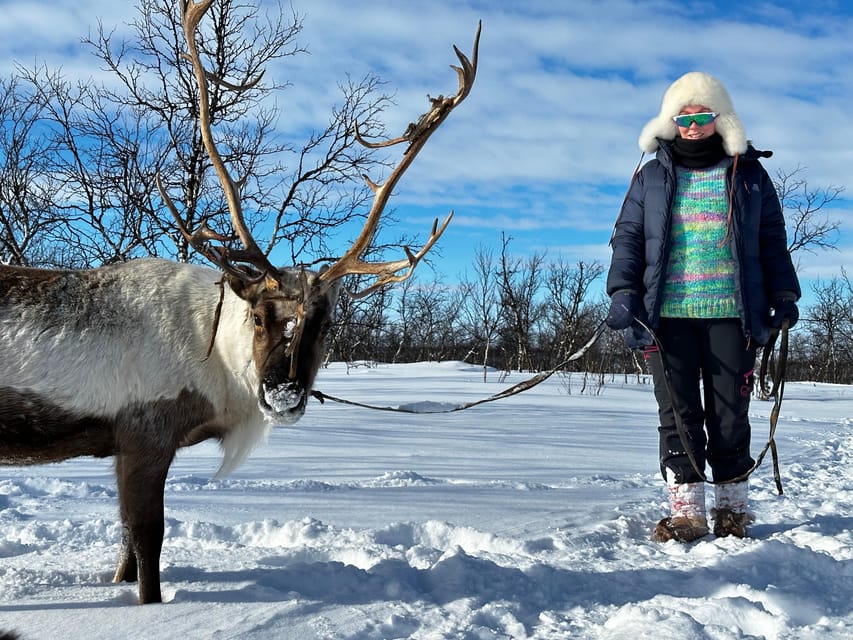 Authentic Sami Reindeer Herding Adventure in Arctic Norway - Accommodation Options