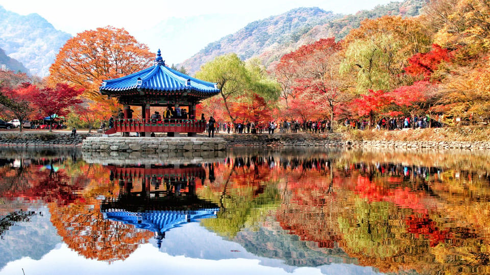 Autumn Foliage - Mt. Naejang + Jeonju Hanok Village - Tour Accessibility and Fitness