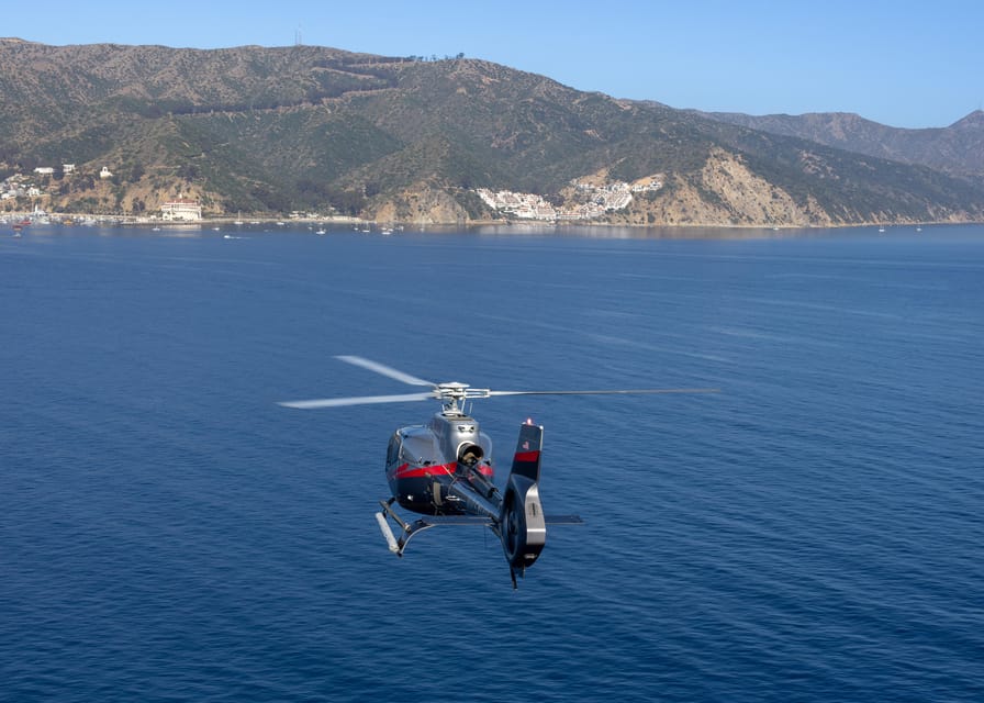 Avalon: Santa Catalina Island Aerial Helicopter Tour - Inclusions and Meeting Point