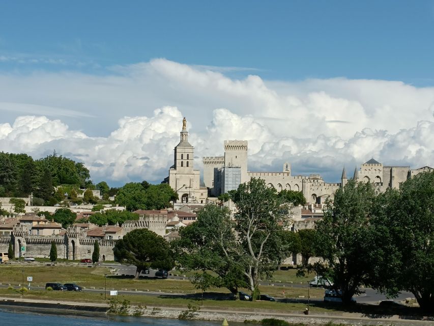 Avignon : Half-Day Walking Tour With Private Guide - Accessibility Features