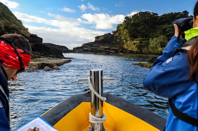 Azores Marine Birdwatching Expedition - Safety and Accessibility