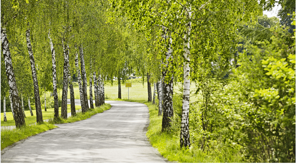 Bad Wörishofen: Nordic Walking - Transportation