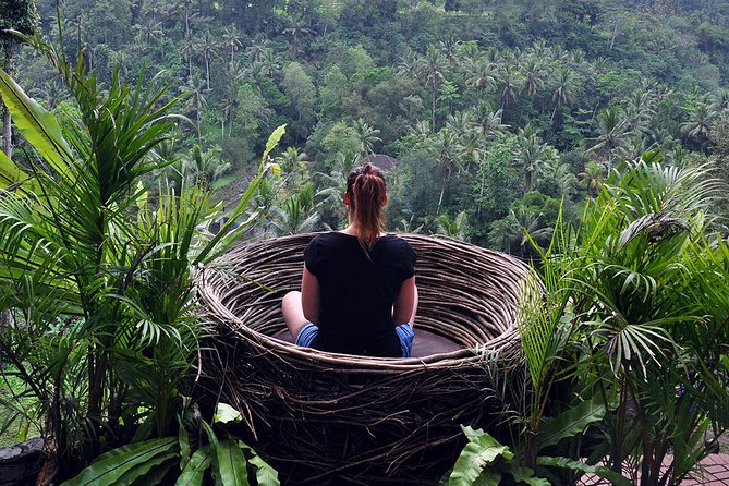 Bali Ubud and Volcano Day Tours - Ubud Traditional Art Market