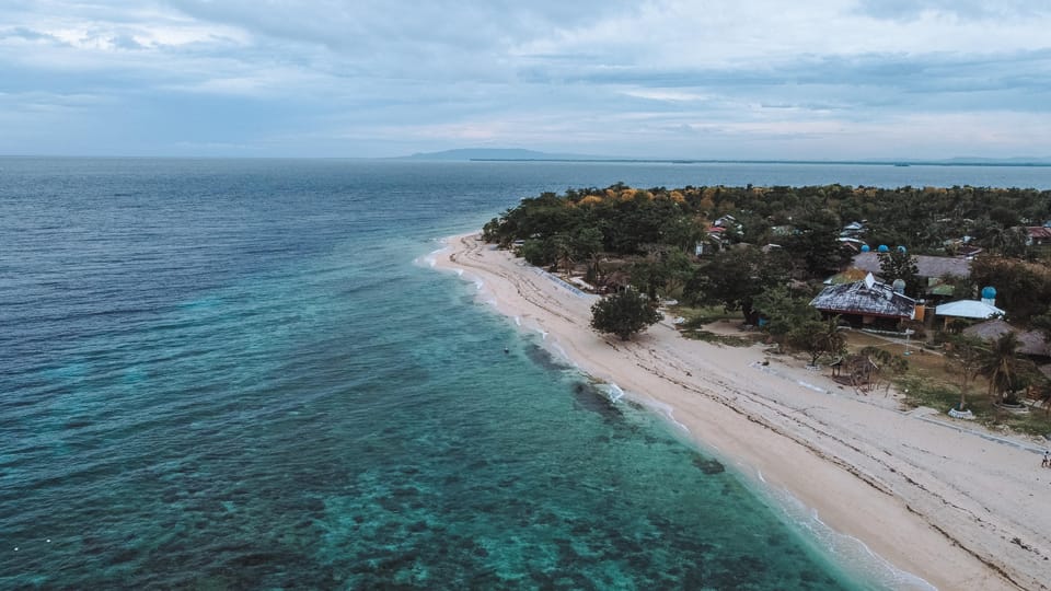 Balicasag Island Private Tour and Dolphin Watching - Dolphin Watching Experience