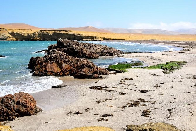 Ballestas Islands and Paracas National Reserve Day Trip From Paracas - Additional Considerations