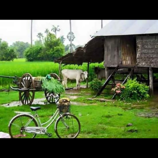 Bamboo Train Rice Field Killing Cave Bat Cave &Sun Set - Discovering the Killing Cave