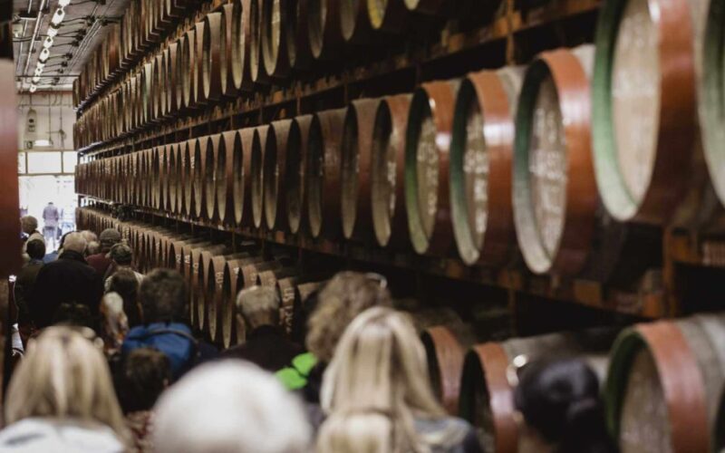 Banana, Wines & Rum Taste - Premium Tour in Gran Canaria - Banana Museum Exploration