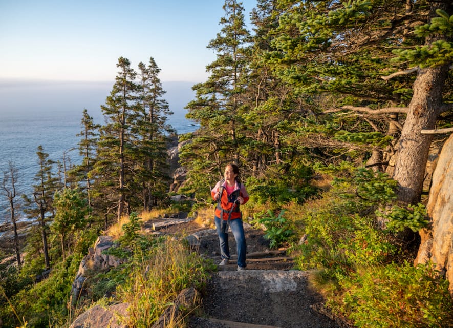 Bar Harbor: Acadia National Park Tour With Lobster Roll - Customer Feedback