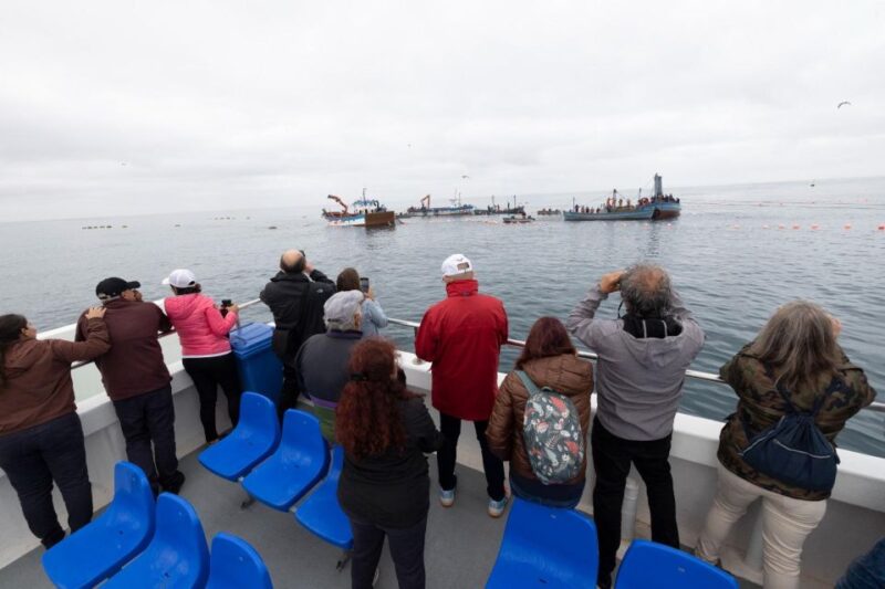 Barbate: Boat Tour to the Almadraba of Conil (Tuna Fishing) - On-Board Tuna Tasting