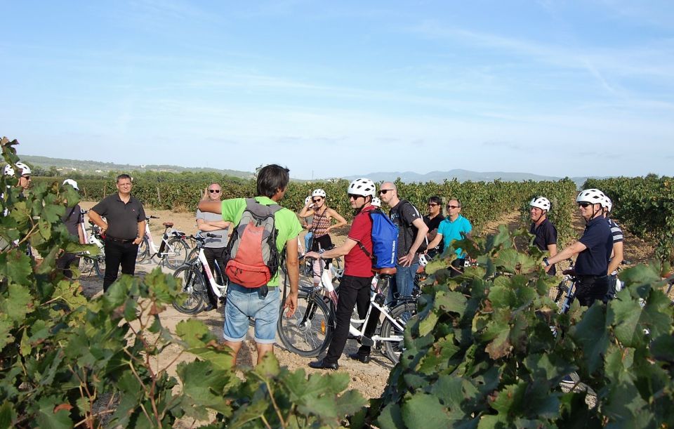 Barcelona: Bike & Wine Guided Tour - Penedès Vineyards - Meeting Point and Directions