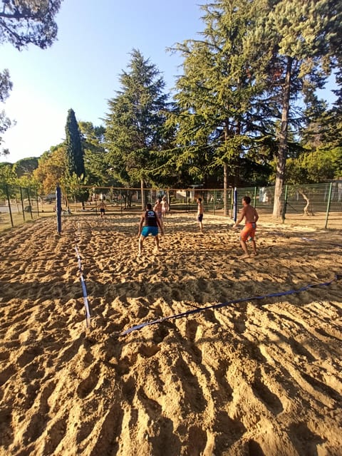 Beach Volley Experience - 1h - Accessibility Features