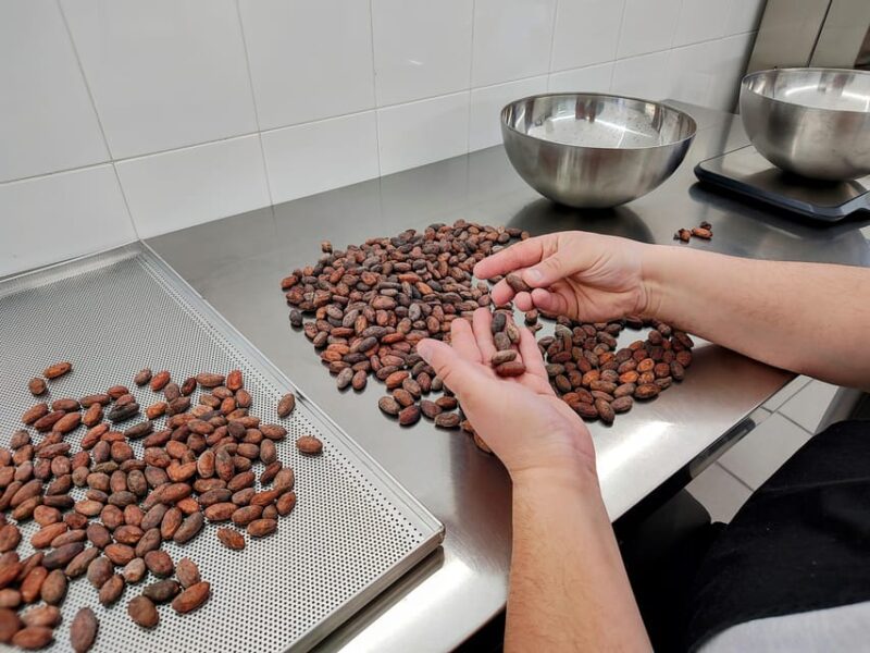 Become a Chocolatier for a Day! - Meeting and Availability