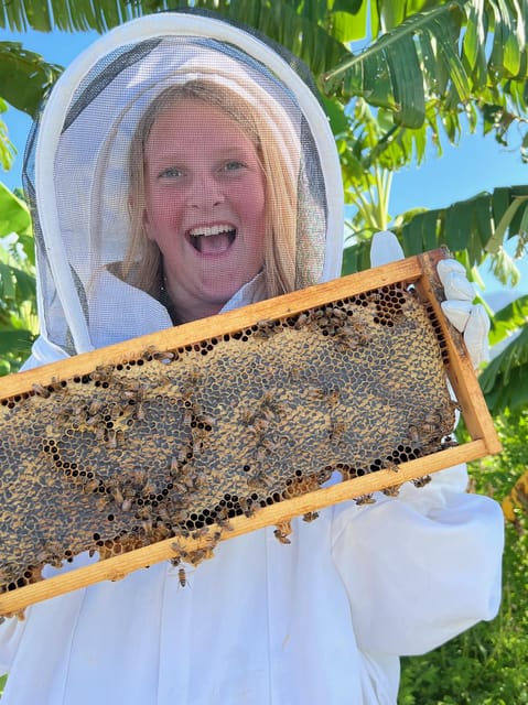 Bee Farm Tour & Honey Tasting - Group Size and Language