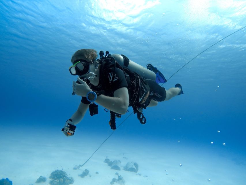 Beginner Scuba Dive With Scubapoint Tenerife in Turtle Area - Safety Procedures