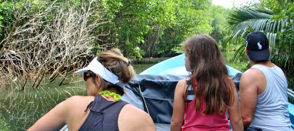 Bentota River Safari (Lagoon Boat Safari) - Logistics and Meeting Points