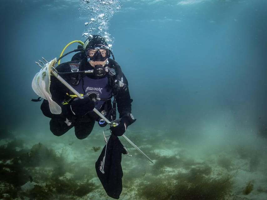 Bergen: Guided Scuba Diving - Booking Process