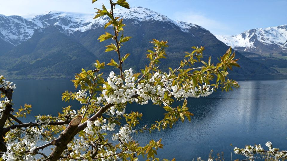 Bergen: Hardangerfjord, Voss Gondola, and 4 Great Waterfalls - Voss Gondola Adventure