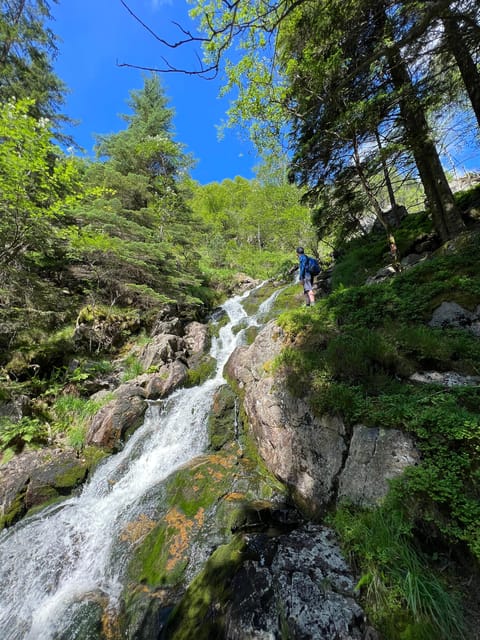 BERGEN I Fløyen Activo - Magical Nature - Hiking Tour - Accessibility Information