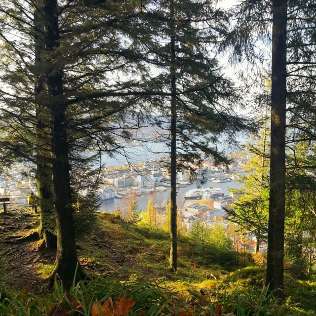 Bergen: Mountain Hike on Top of Bergen - Public Tour - What to Bring