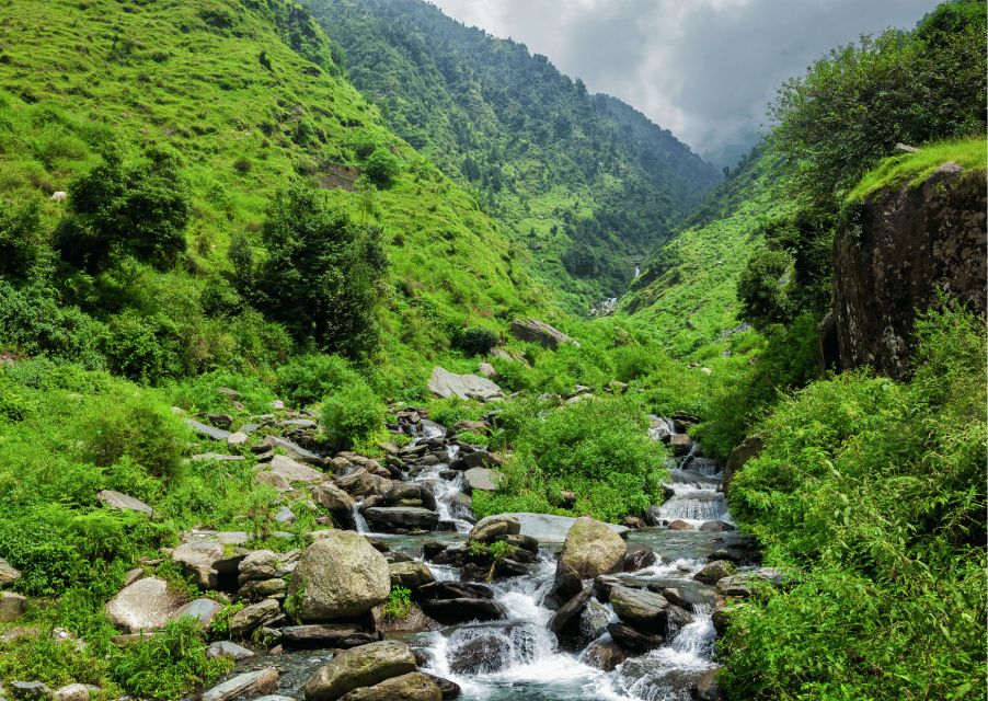 Best of Dharamshala With a Local Half Day Tour by a AC Car - Scenic Stops and Activities