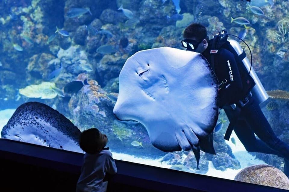 Best of Istanbul Aquarium Tour With Ticket & Hotel Transfer - Whats Included in the Tour