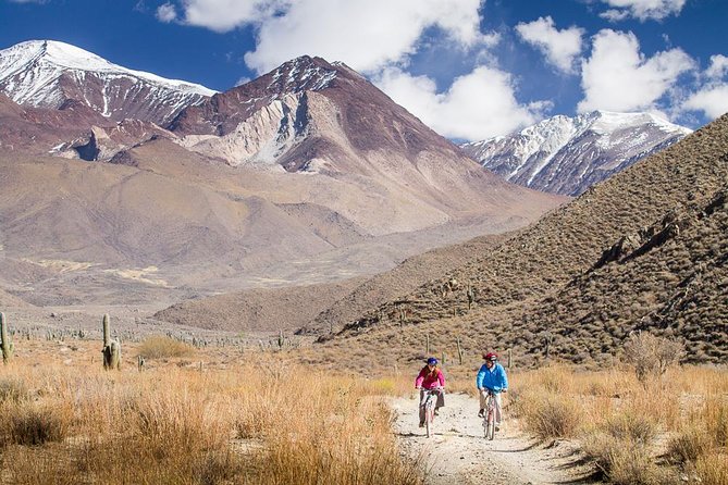 Bicycle Rides - Unique Biking Adventure