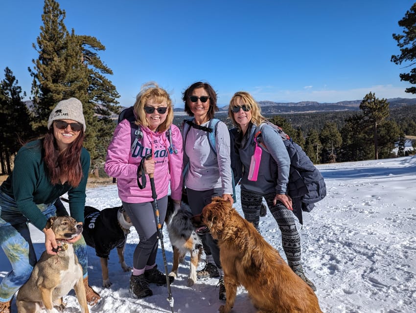 Big Bear: Family-Friendly Nature Walk W Hot Chocolate - What to Bring