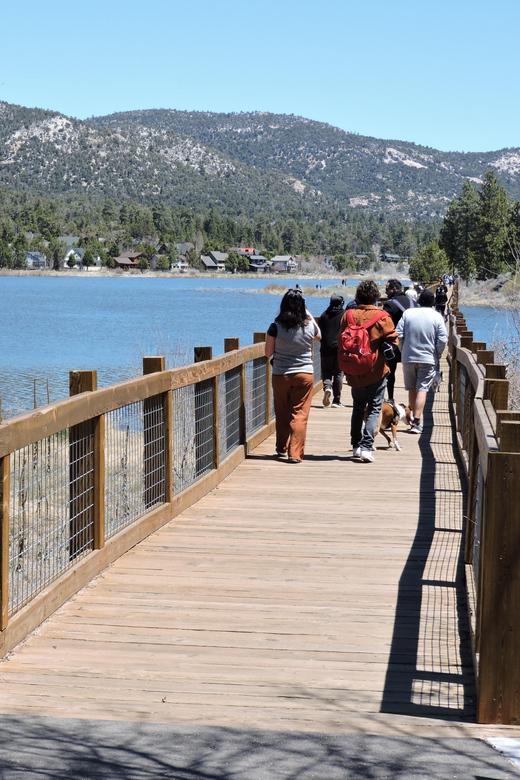 Big Bear Lake: From Seafloor to Mountain, the Story of Gold - Uncovering the Mining History