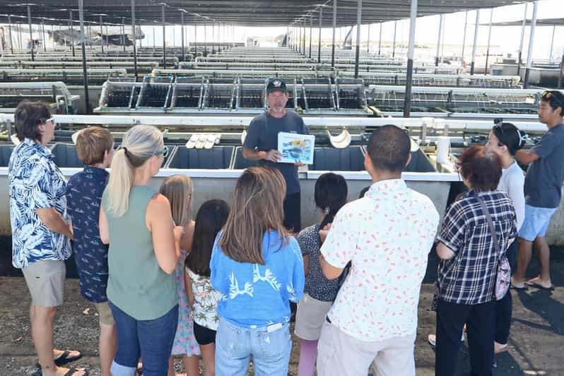 Big Island: Abalone Farm Guided Tour With Tasting - Tasting Experience