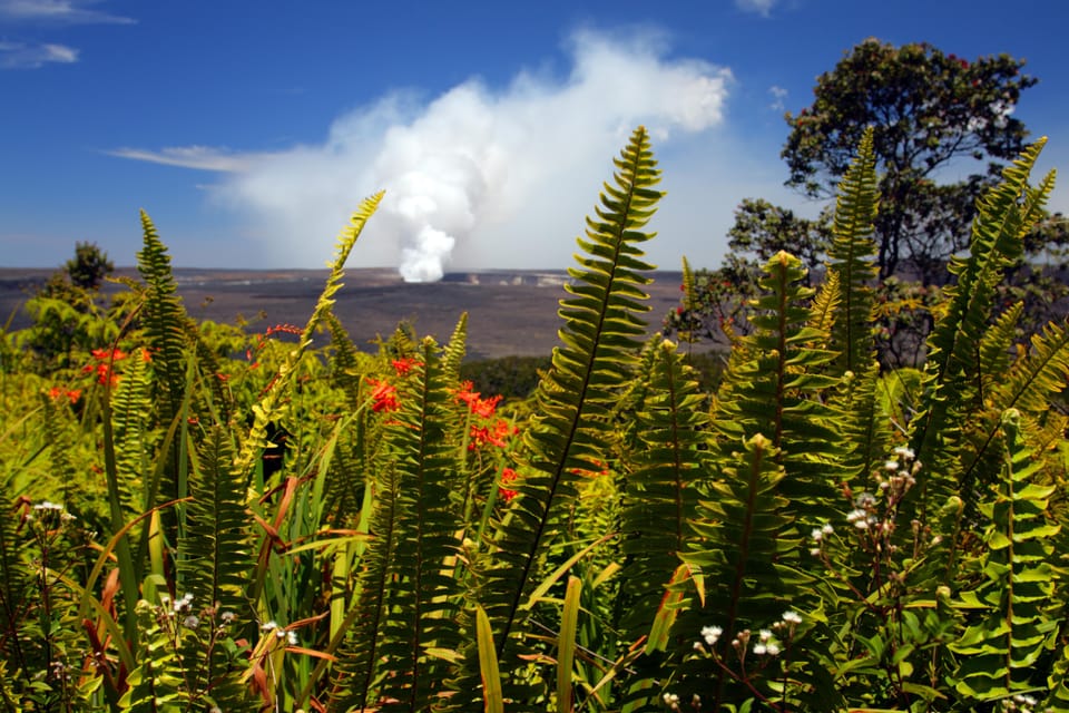 Big Island: Lava Field & Rainforest Safari Flight - Itinerary and Flight Details