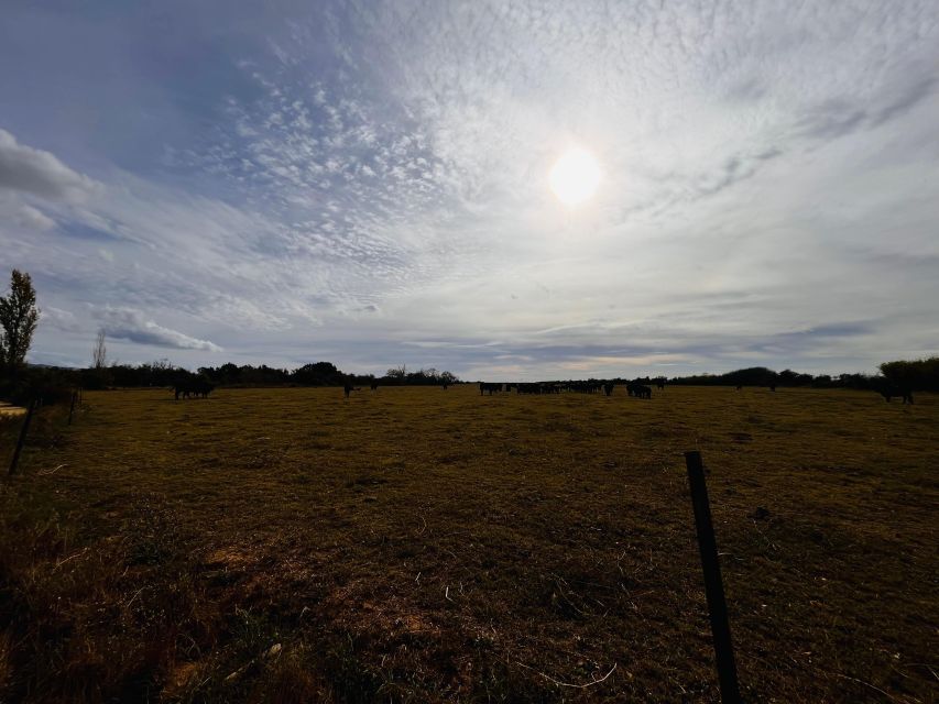 Bike Ride in the Aiguamolls De L'empordà - Included Amenities