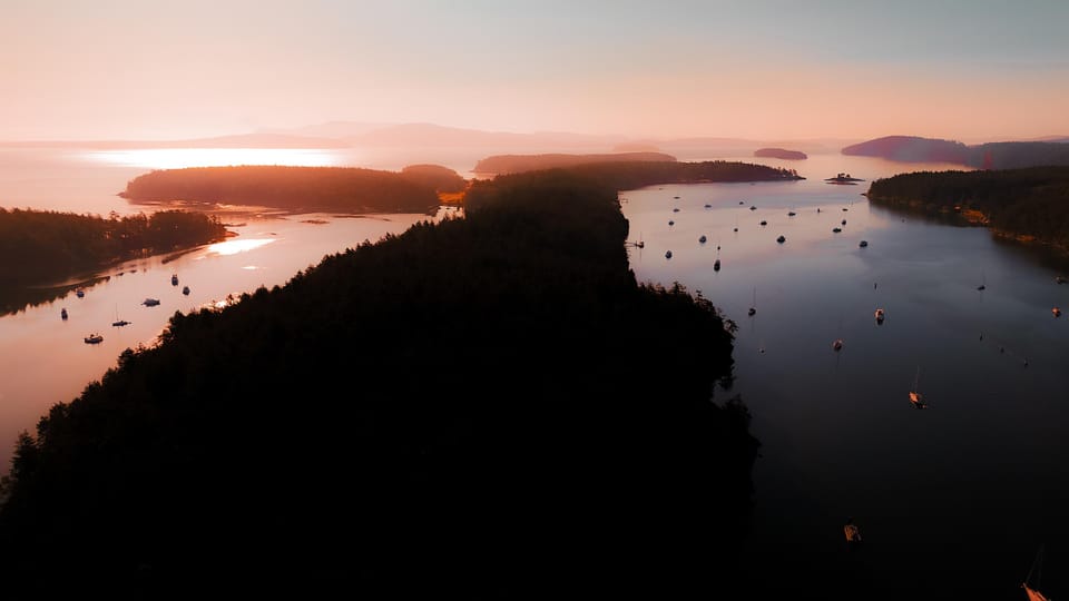 Bioluminescence Night Paddle - Wildlife Encounters