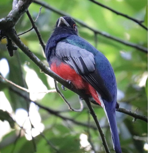 Birdtour + Onça Cachoeira - Included Amenities