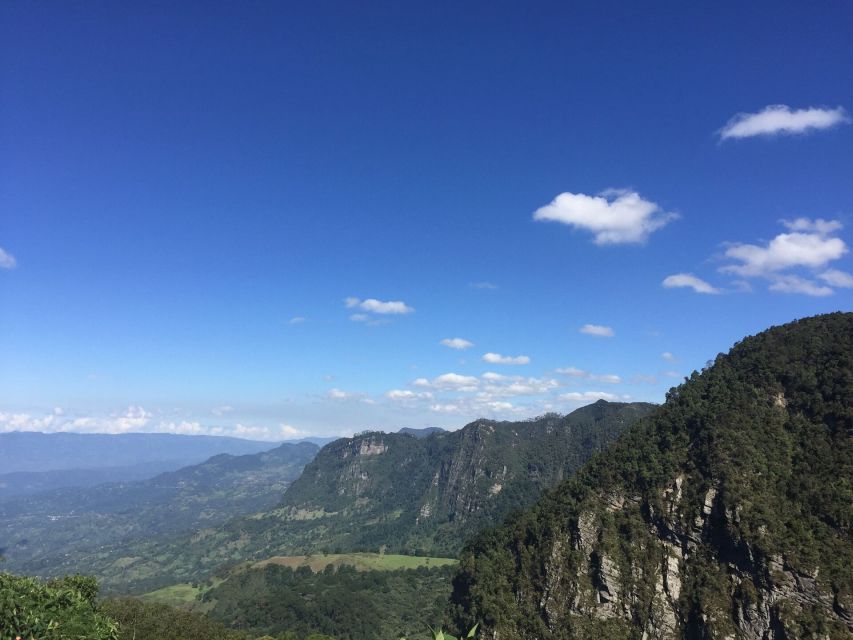 Birdwatching Day Tour at Chicaque Natural Park - Expert Guides and Education