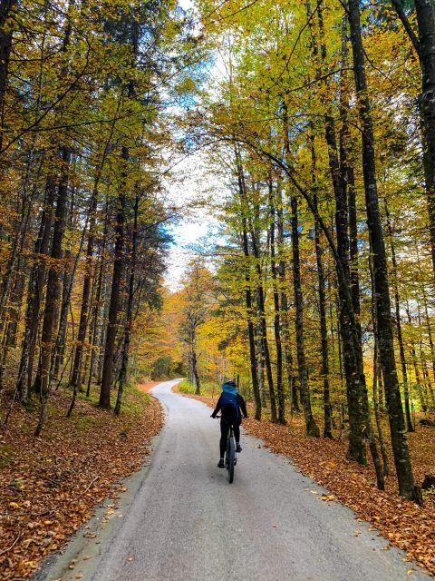 Bled: EBike Tour Lake Bled & Triglav National Park Private - Equipment and Support