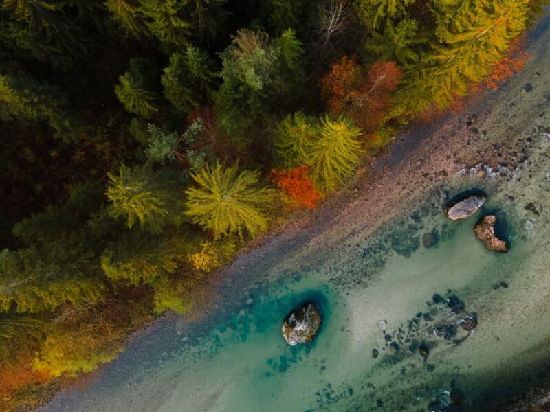 Bled: Sava River Kayaking Tour - What to Bring