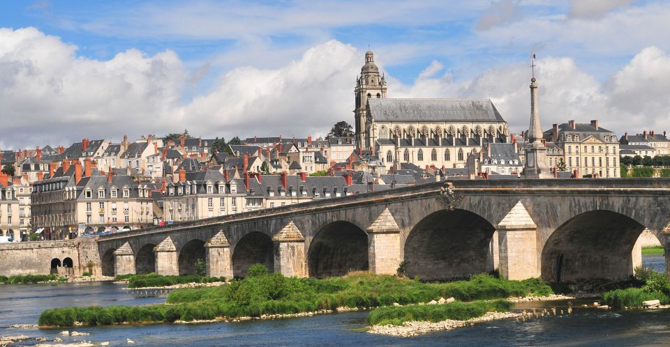 Blois: Private Tour of Blois Castle With Entry Tickets - Meeting Point and Guide