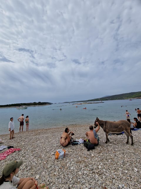 Blue Cave Private Tour From Hvar - Meeting Point