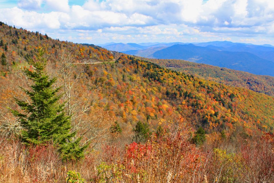 Blue Ridge Parkway: Cherokee to Asheville Driving App Tour - Highlights and Attractions