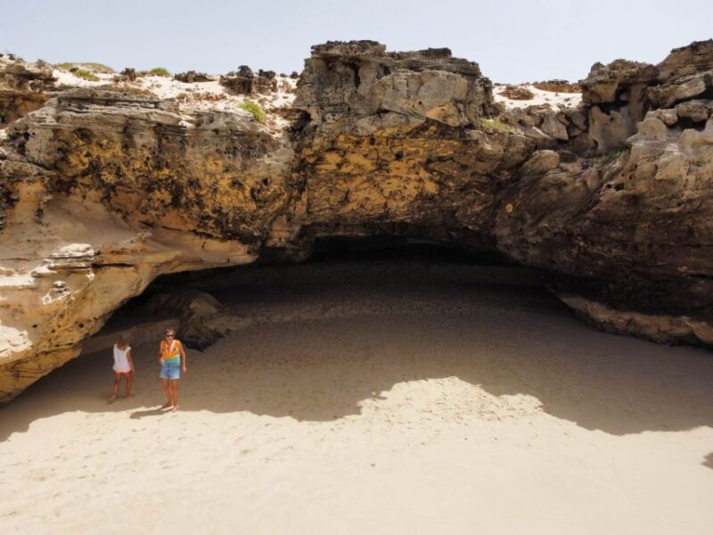 Boa Vista: Full-Day Island Tour - Tour Features and Personalization