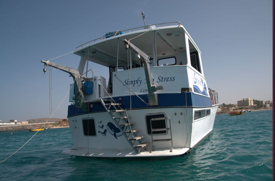 Boa Vista: Whale Watching Trip With Motoryacht - Inclusions and Exclusions