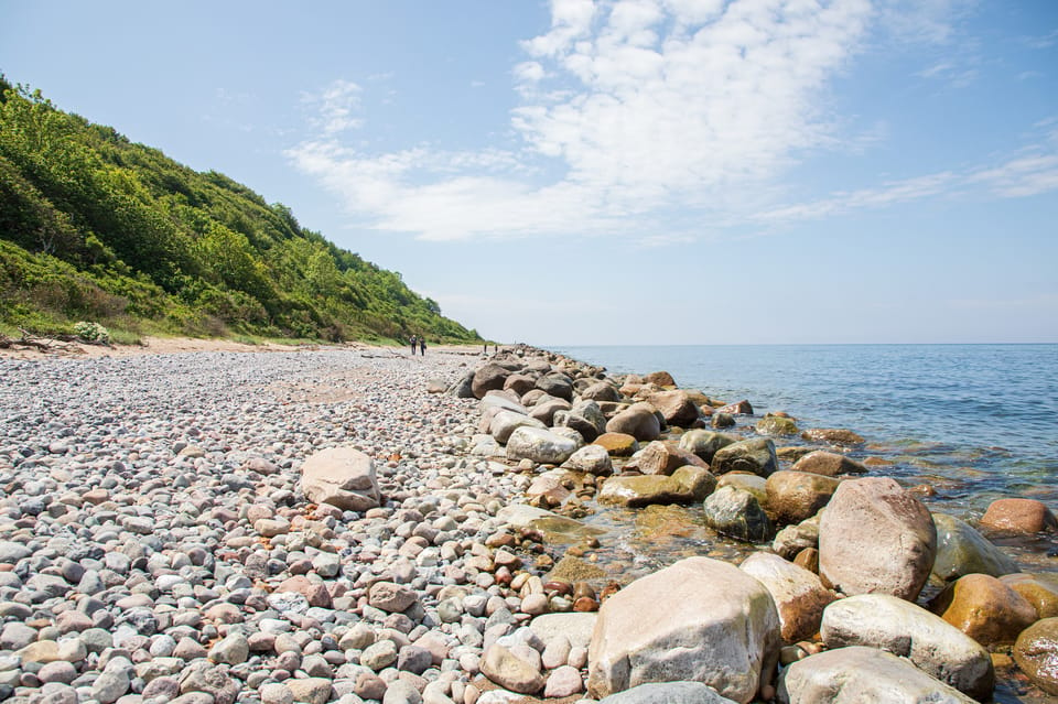 Boat Trip to the Island of Hiddensee From Zingst - Cultural Engagement