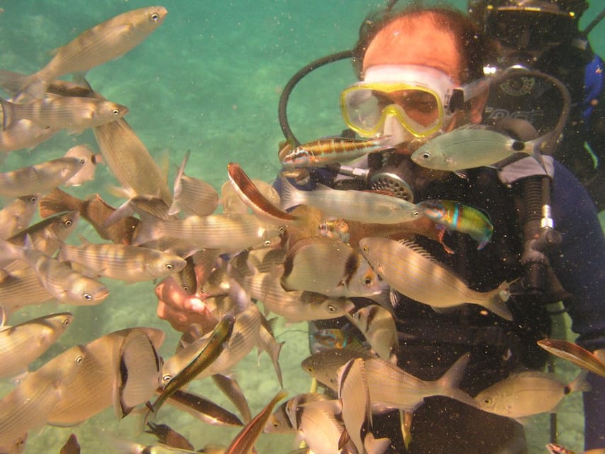 Bodrum Diving Day for Advanced and Beginner Divers - Professional Instructors