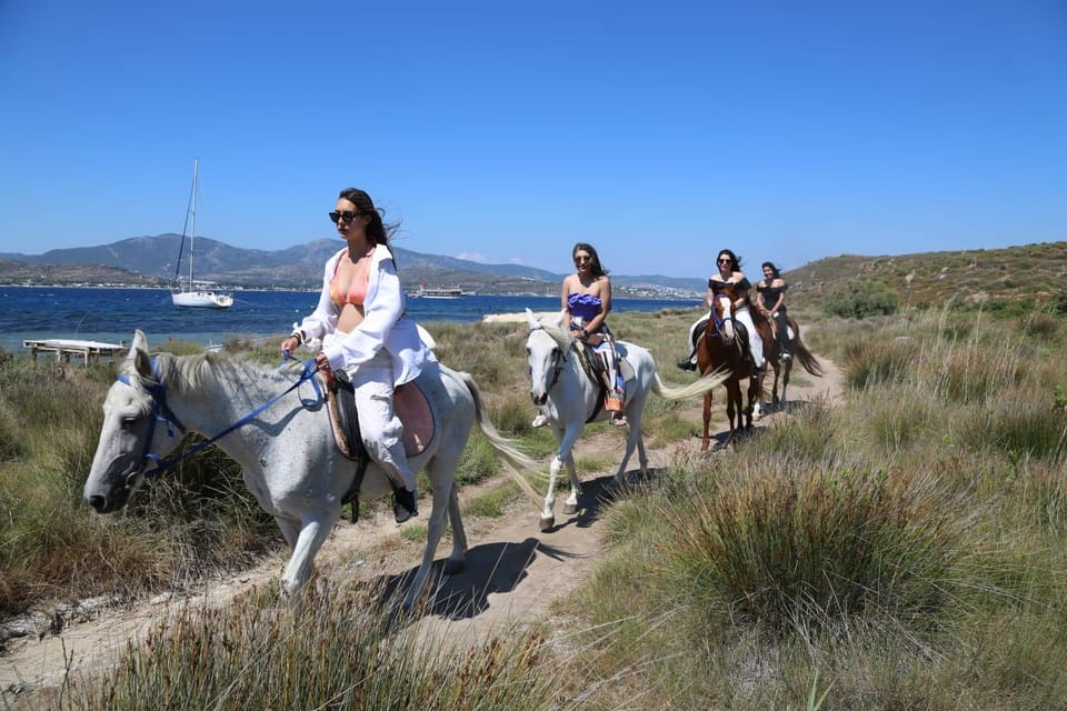 Bodrum Horse Riding With Final in the Sea - Group Size and Pickup Options