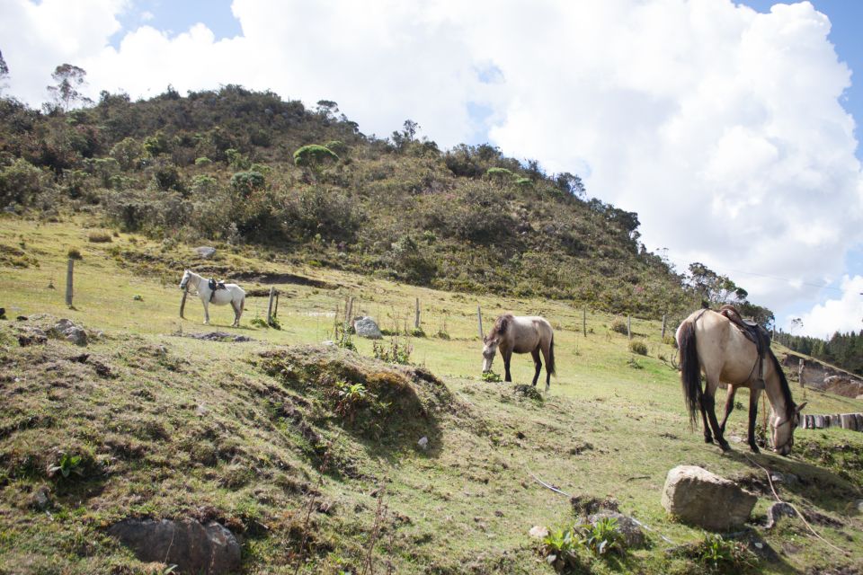 Bogota: Horseback Riding Tour - Frequently Asked Questions