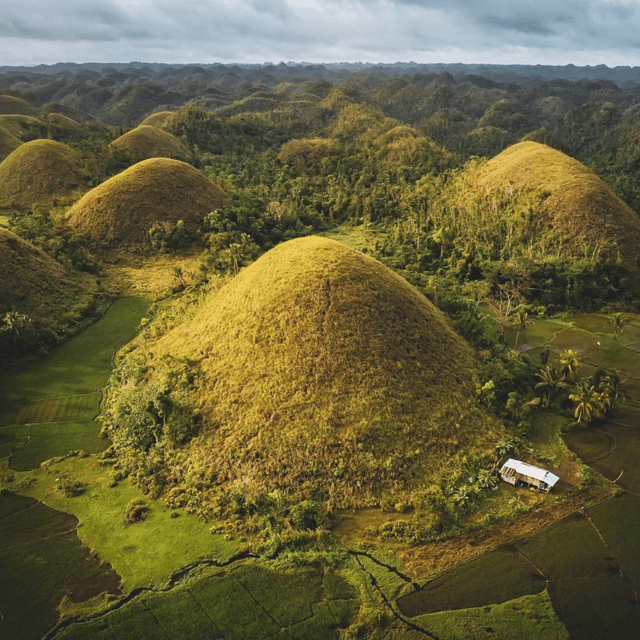 Bohol: Choco Tour With Loboc River Lunch Buffet (Private) - Frequently Asked Questions