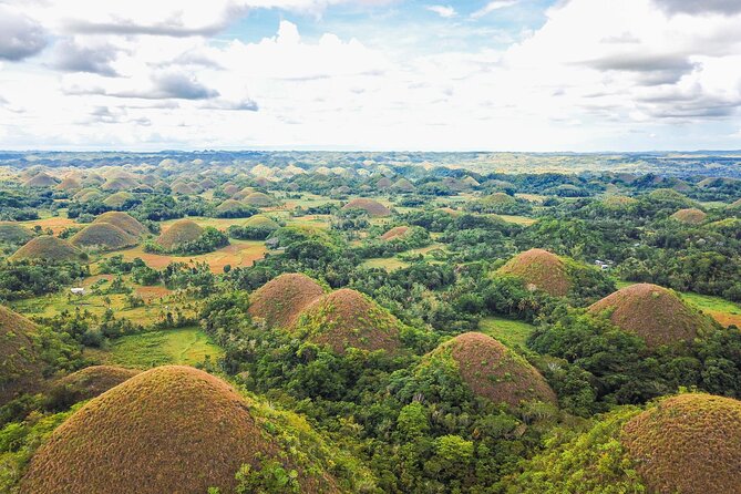 Bohol Countryside Tour: Chocolate Hills, Tarsier and Loboc River - Transportation and Amenities