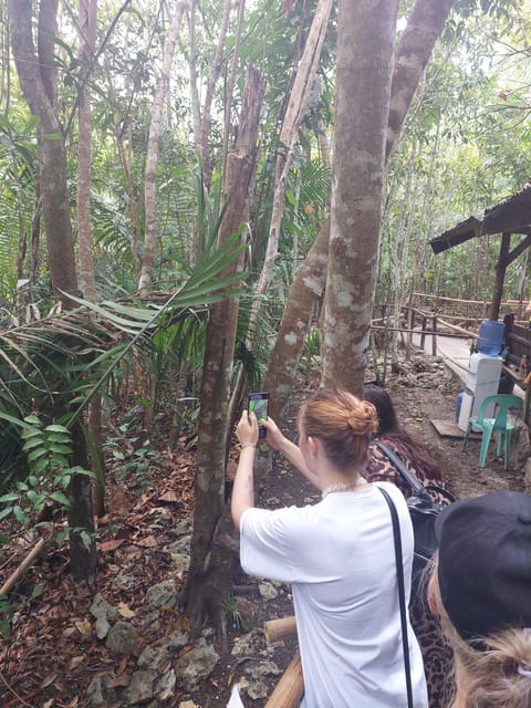 Bohol: From Snorkeling With Whale Sharks to Chocolate Hills. - Tarsier Conservation Area