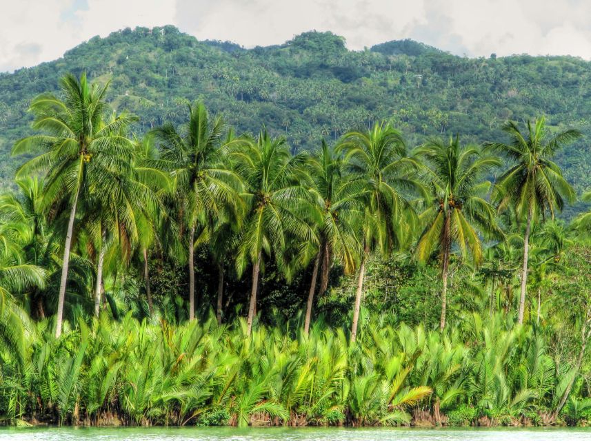 Bohol: Loboc River Buffet-Lunch Cruise With Private Transfer - Inclusion and Exclusion